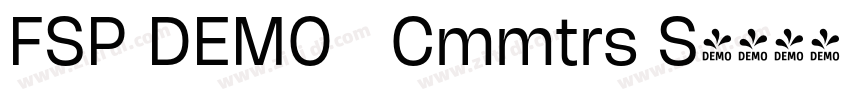 FSP DEMO   Cmmtrs S字体转换